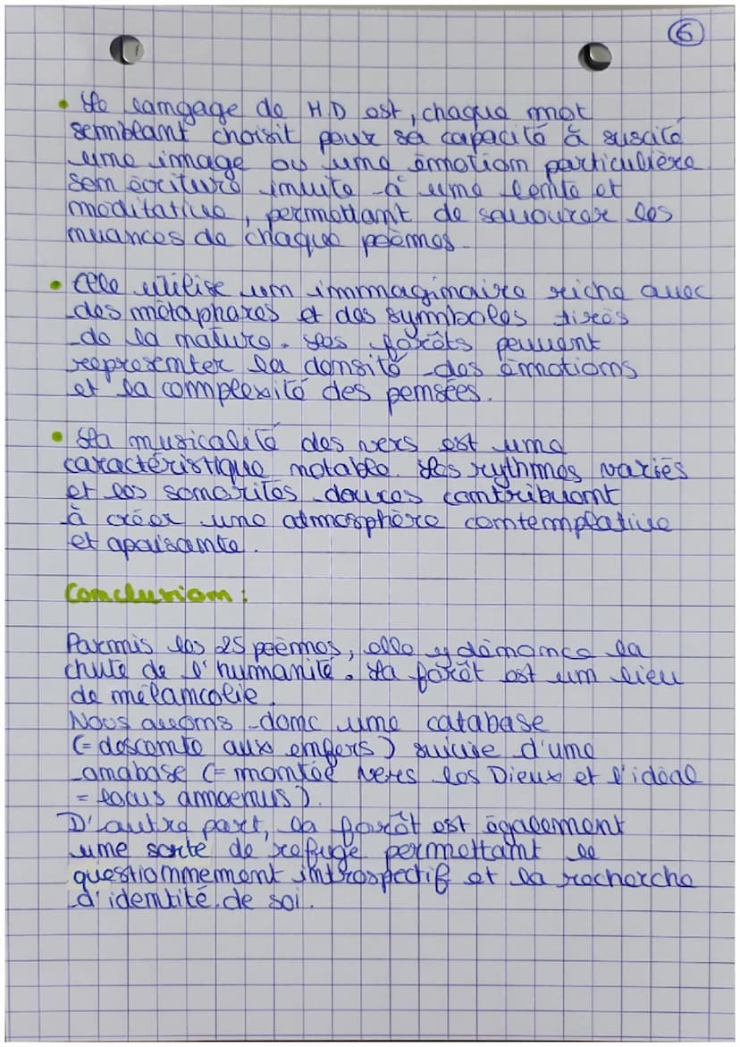 16
BAC
Accroche
MES FORETS
Dans le mythologie grādo-xomaine, sur laquelle
a fonde une grande part de la litterature
française, Apollon est l