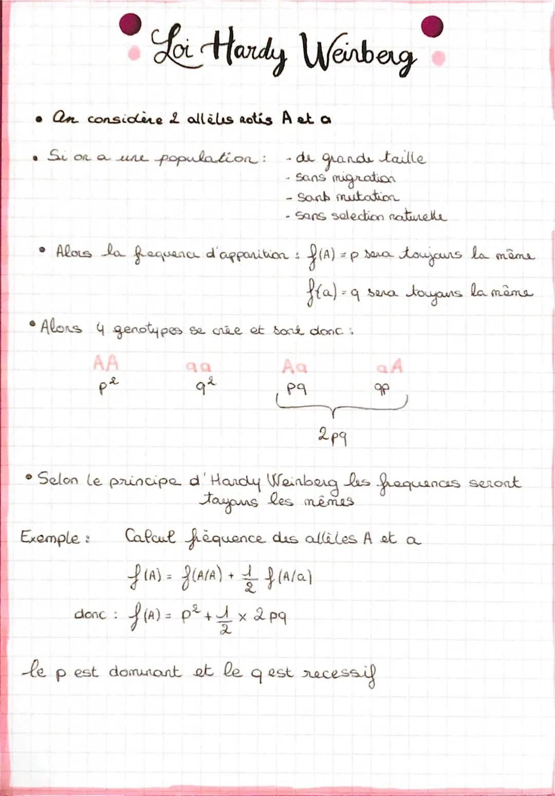 Découvre la Loi de Hardy-Weinberg: Exercice Corrigé et Formule Facile