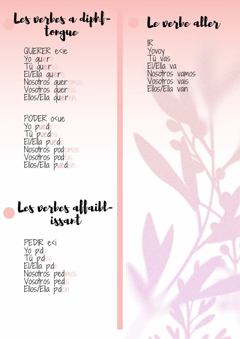 Espagnol
Les verbes en -AR
HABLAR
Yo hablo
Tú hablas
EI/Ella habl
Nosotros hablamos
Vosotros habláis
Ellos/ella hablan
Les verbes en -ER
COM