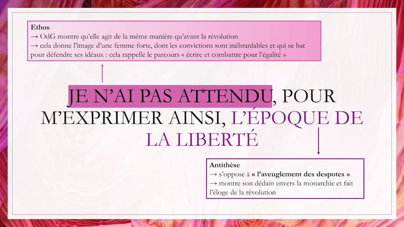 DÉDIDACE À LA
REINE
Auteur: Olympe de Gouges
Date: 1791
Recueil La déclaration des
droits de la Femme et de la
citoyenne
Mouvement littérair