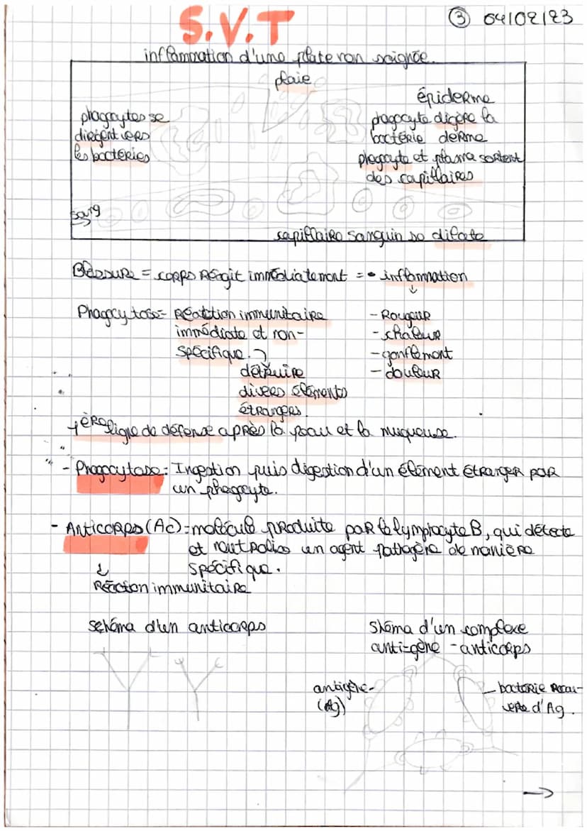 @18101123
S.N.T
Horde Micpobien et notre organisme
-Microbe: Hicre- organisme, être-vivant microscopique.
Les principales categories de micr