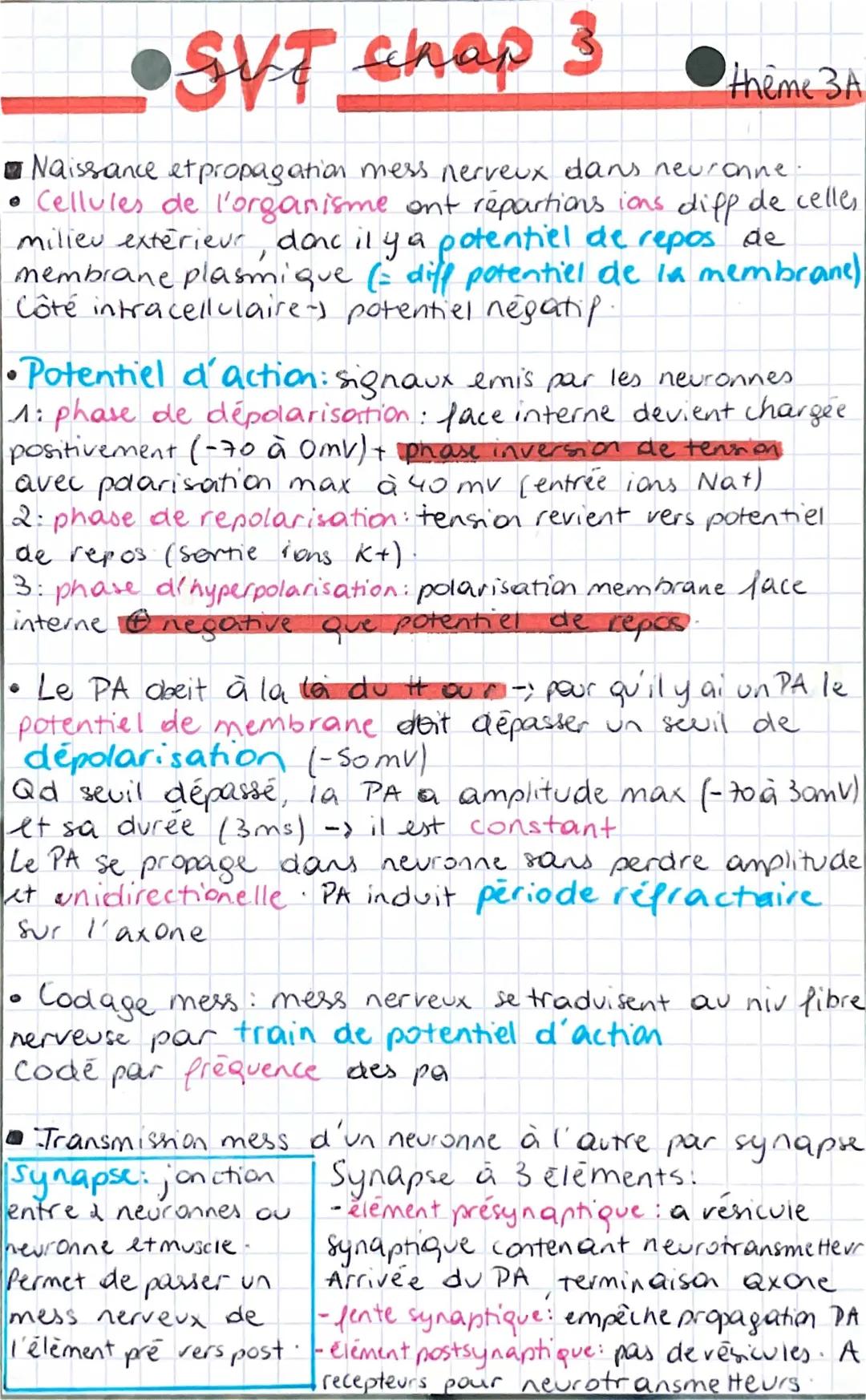 message nerveux et sa transmission