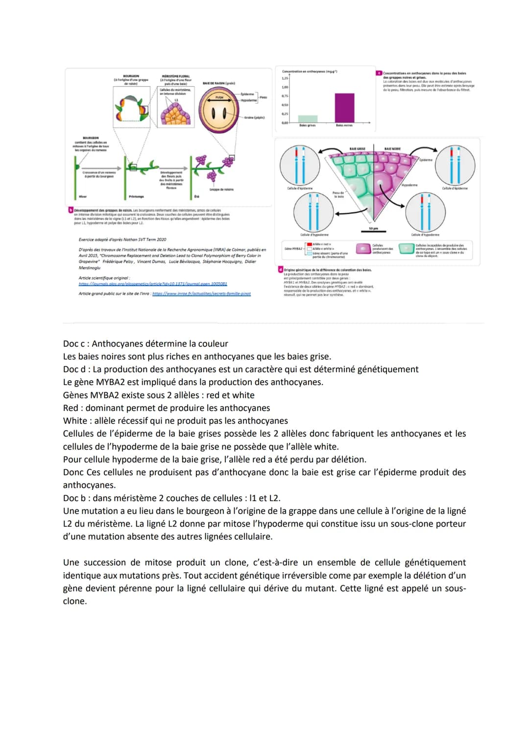 Chapitre 5
L'ORIGINE DU GÉNOTYPE DES
INDIVIDUS
Quels sont les mécanismes qui contribuent à la diversité des
génotypes et donc à la diversité