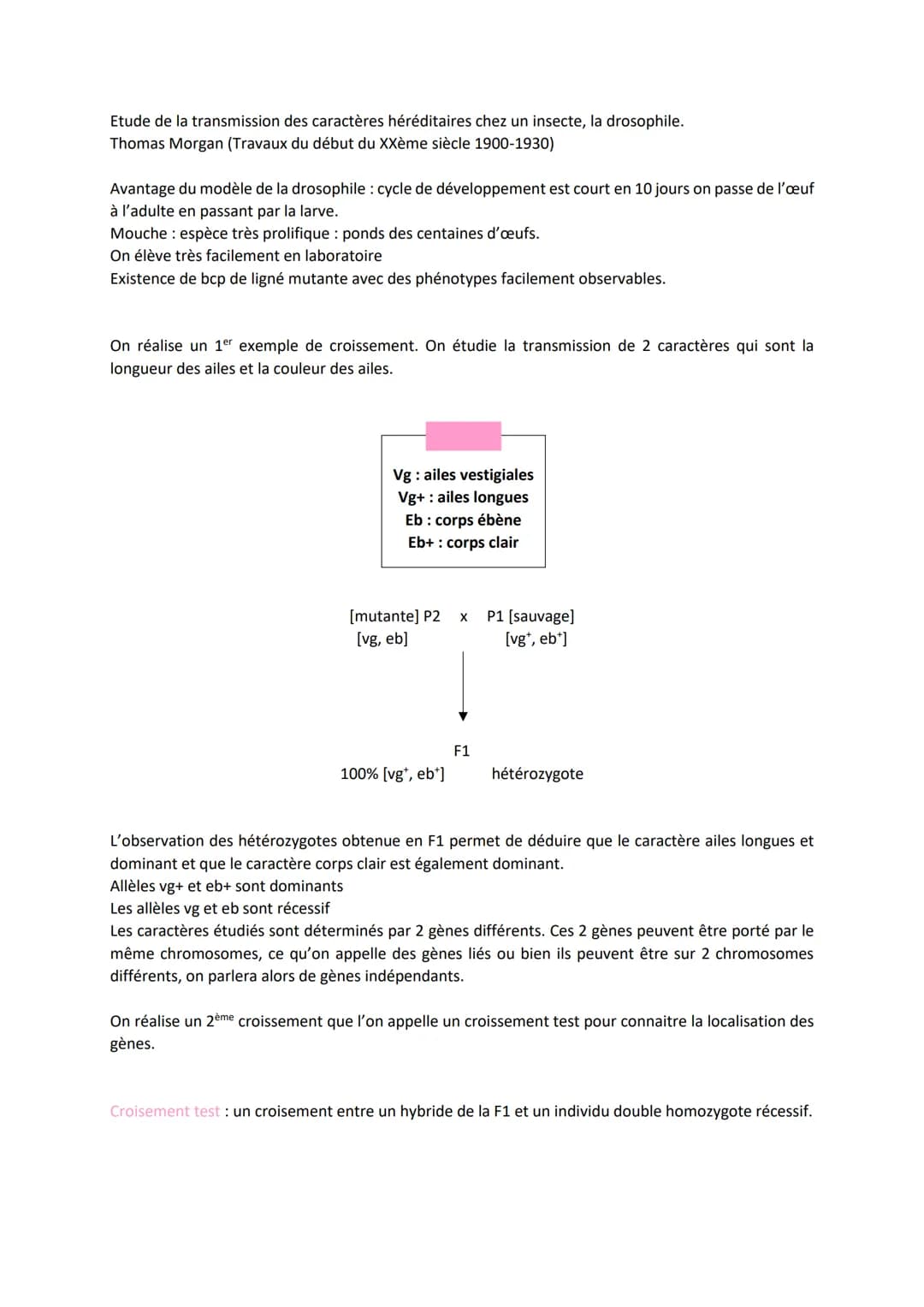 Chapitre 5
L'ORIGINE DU GÉNOTYPE DES
INDIVIDUS
Quels sont les mécanismes qui contribuent à la diversité des
génotypes et donc à la diversité