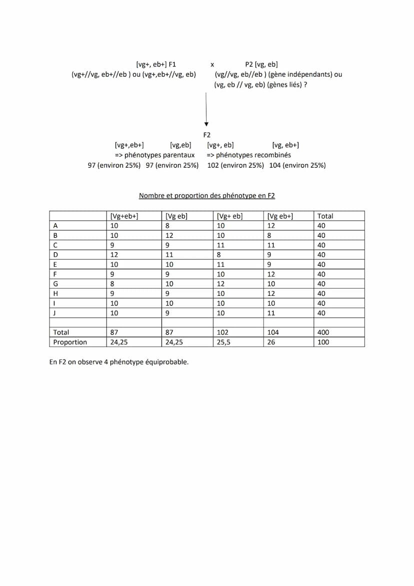 Chapitre 5
L'ORIGINE DU GÉNOTYPE DES
INDIVIDUS
Quels sont les mécanismes qui contribuent à la diversité des
génotypes et donc à la diversité