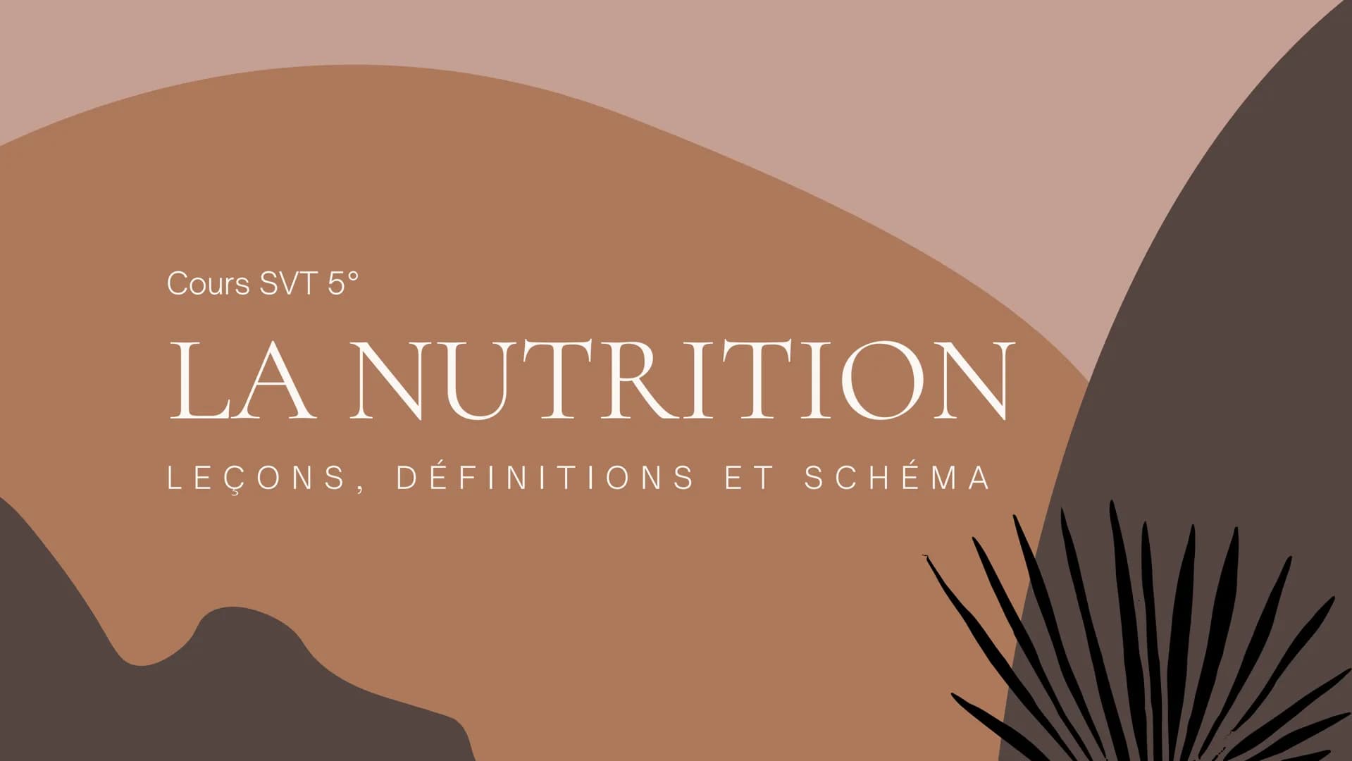 Cours SVT 5°
LA NUTRITION
LEÇONS, DÉFINITIONS ET SCHÉMA Leçon nºr
L'eau et les sels minéraux prélevés
dans le sol par les racines forment
un