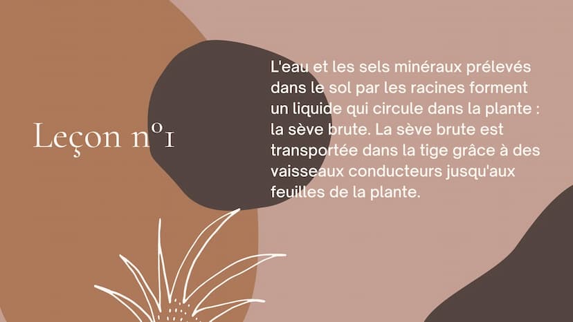 Cours SVT 5°
LA NUTRITION
LEÇONS, DÉFINITIONS ET SCHÉMA Leçon nºr
L'eau et les sels minéraux prélevés
dans le sol par les racines forment
un