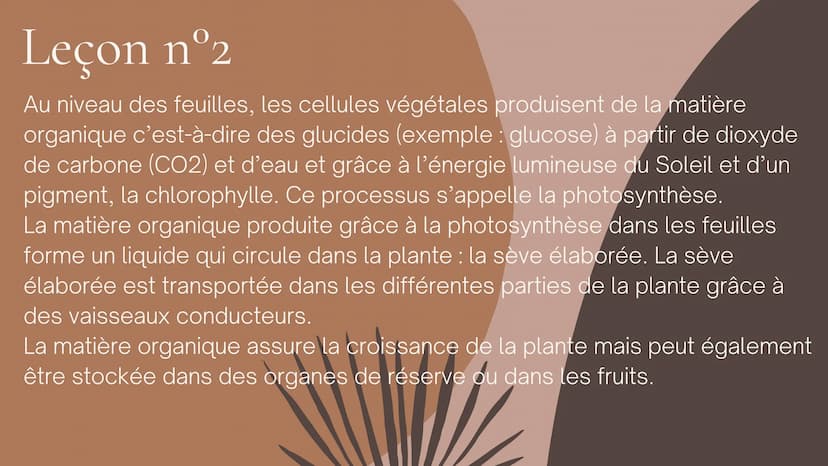 Cours SVT 5°
LA NUTRITION
LEÇONS, DÉFINITIONS ET SCHÉMA Leçon nºr
L'eau et les sels minéraux prélevés
dans le sol par les racines forment
un