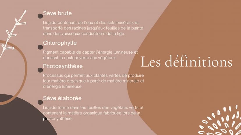 Cours SVT 5°
LA NUTRITION
LEÇONS, DÉFINITIONS ET SCHÉMA Leçon nºr
L'eau et les sels minéraux prélevés
dans le sol par les racines forment
un