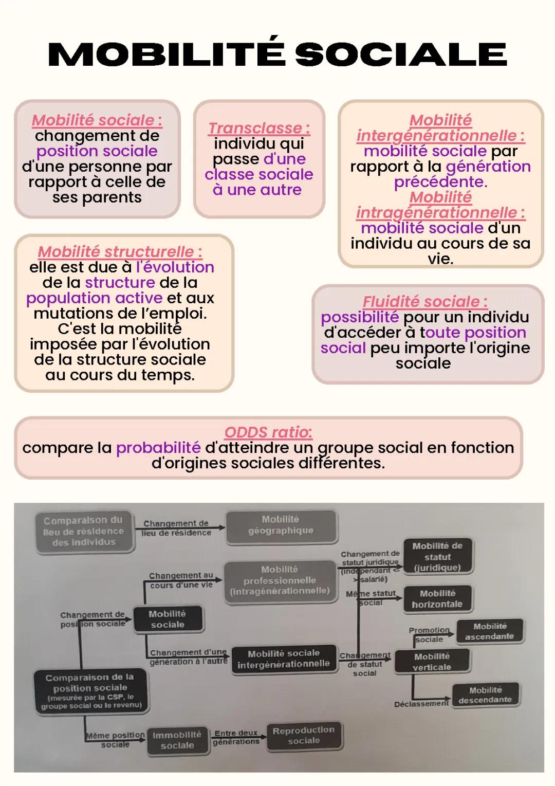 Comprendre la mobilité sociale intergénérationnelle et son impact sur la réussite scolaire