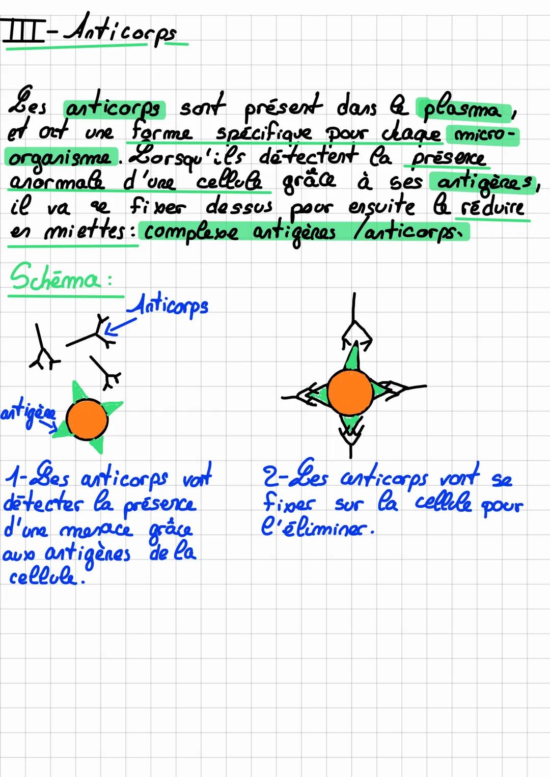 Niv 3e
SVT
Le système immunitaire
I- La première ligne de défense
Lors d'une infection, les globules blaks
(leucocytes) sont les per a inter