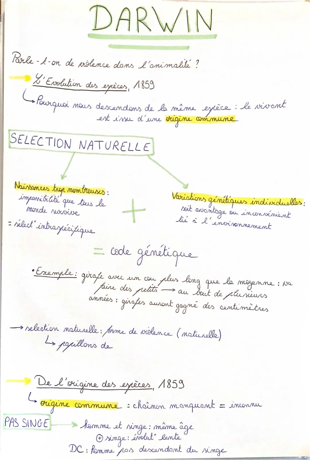 Évolutionnisme Darwin : Les 5 Principes et La Violence Naturelle