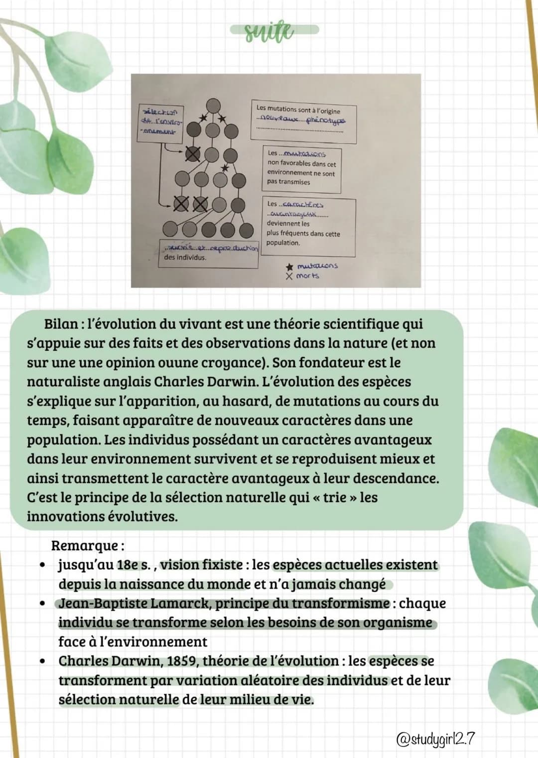 suite
Bilan : toutes les espèces (actuelles fossiles) sont
représentées dans un arbre de parenté (ou phylogénétique) qui
représente les lien