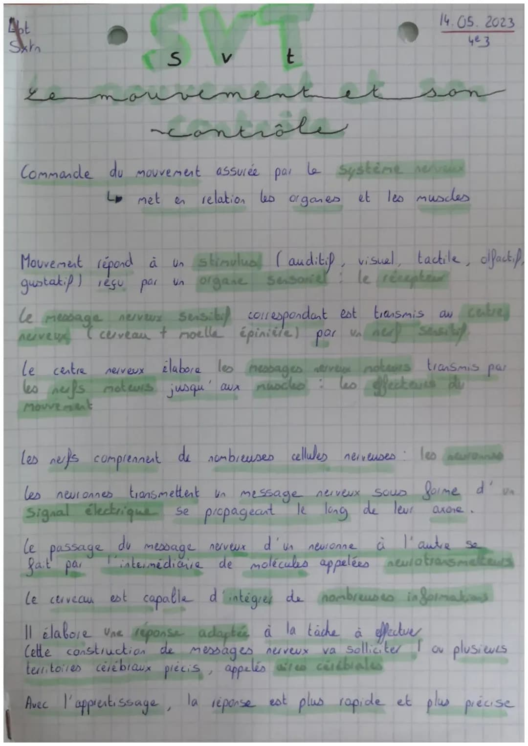 Le Système Nerveux, le Mouvement et Comment Rester en Sécurité en Faisant Du Sport