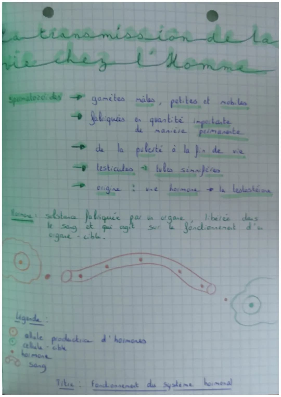 Abt
1 • SVT
San
Le
t
men
contrôle
ment et
Commande du mouvement assurée par le système nerveus
L met en relation les organes
et les muscles
