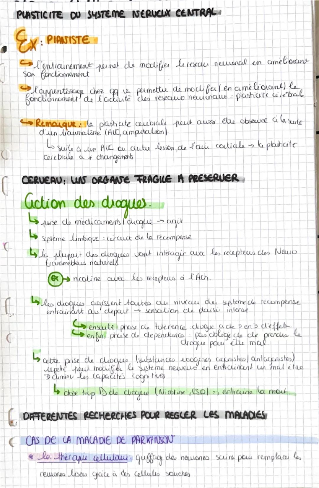 i
de cerveau ET MUT VOLONTAIRE

AIRES MOTRICES

aires

grande diversitë do cellules
	gliales
		astrocytes
	cligodencliocytes
		 a micinguale