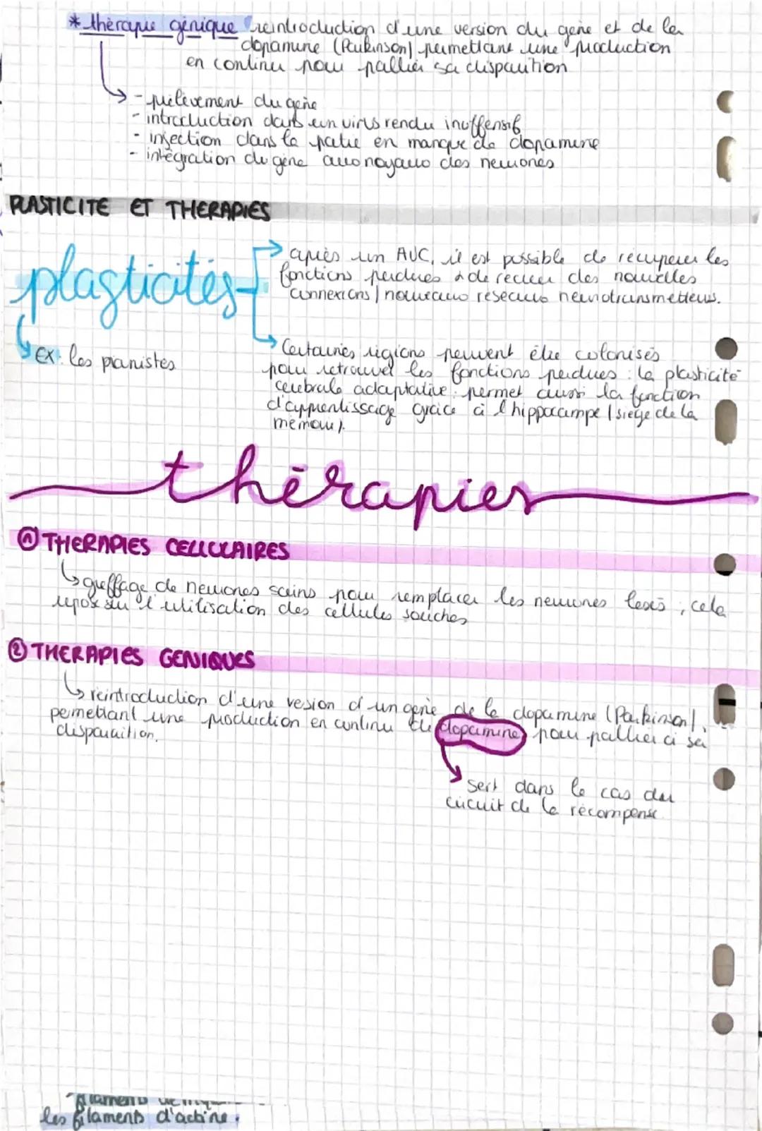 i
de cerveau ET MUT VOLONTAIRE

AIRES MOTRICES

aires

grande diversitë do cellules
	gliales
		astrocytes
	cligodencliocytes
		 a micinguale