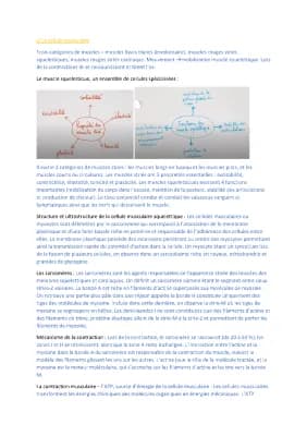 Know Produire le mouvement: contraction musculaire et apport d'énergie  thumbnail