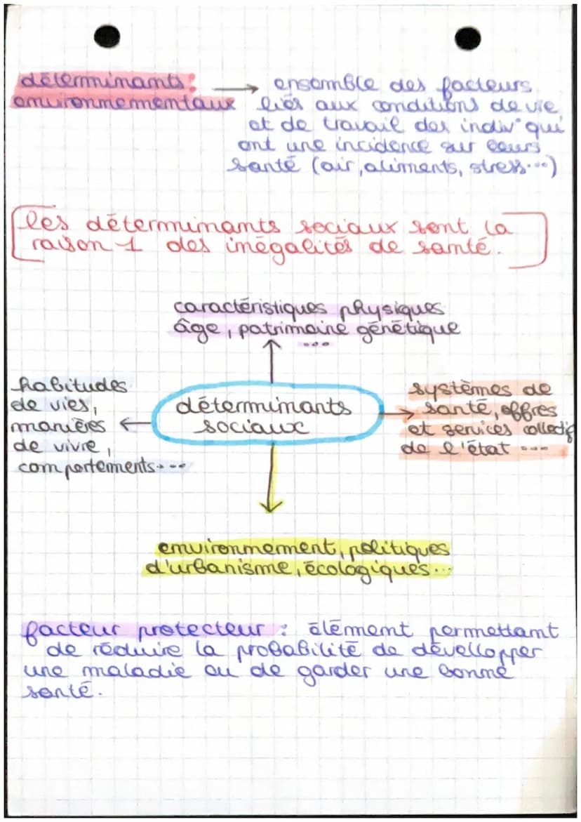 ST25
Chapitre 4: les déterminants
les définitions
determinant de santé : facteur qui a
une influence positive ou mégative sur
l'état de sant