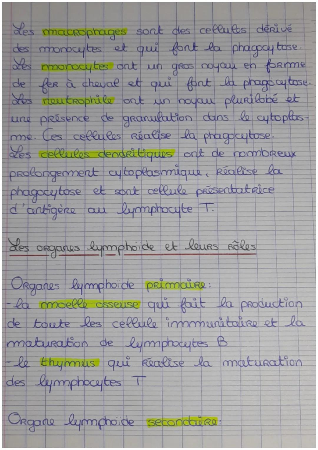 # Chapitre 2: Acteur de l'immunitě

Le soi et le non soi

non soi = micro-organisme, bactérie, virus,
champignon, molécule produite par d'au