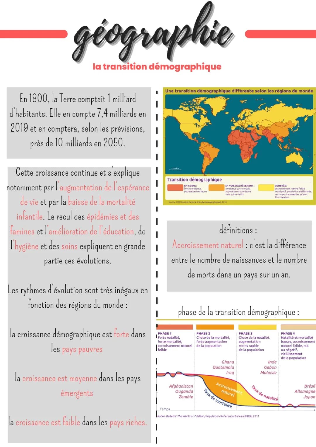 Comprendre la transition démographique : définition, phases et conséquences