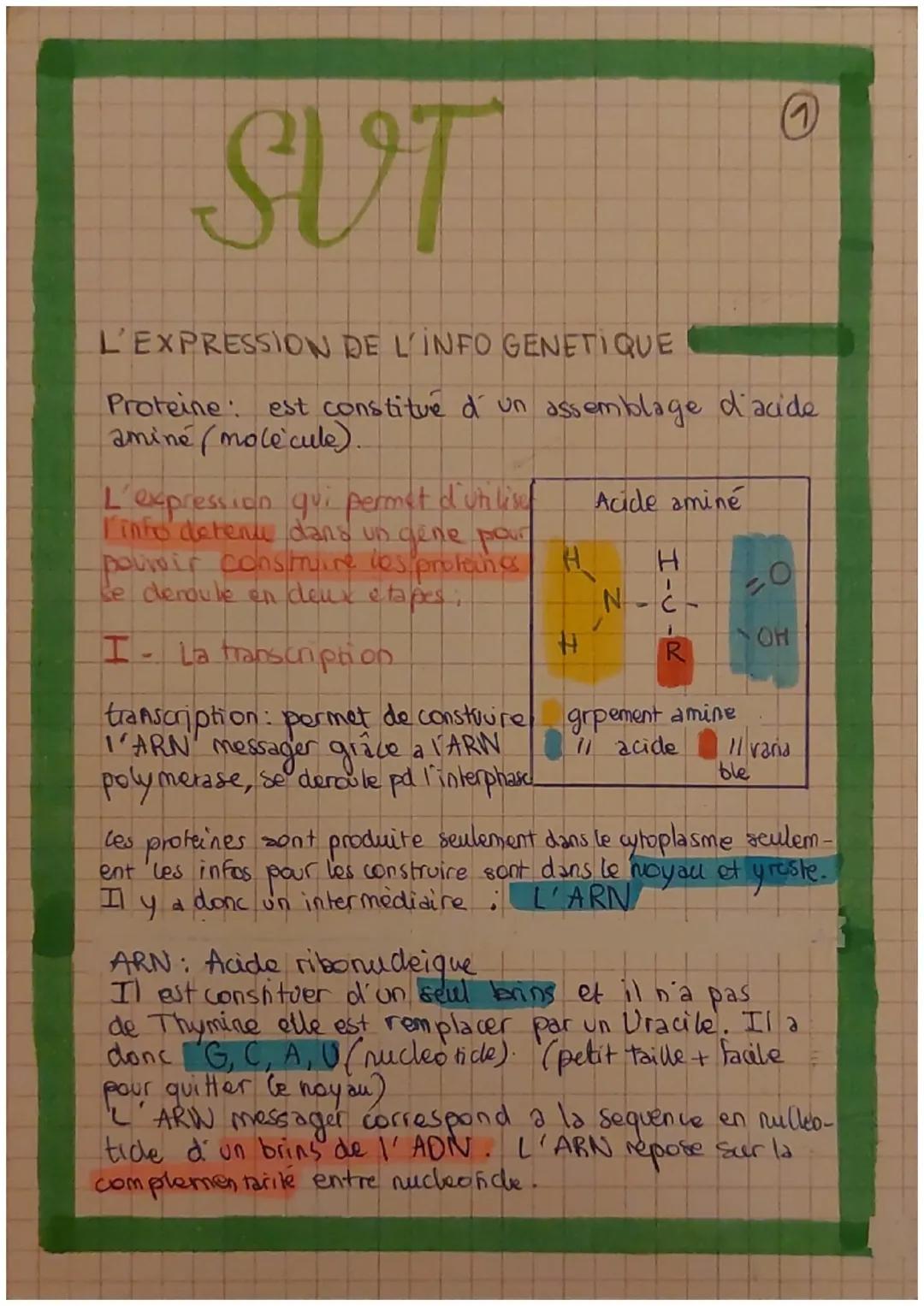 SUT

L'EXPRESSION DE L'INFO GENETIQUE

Proteine: est constitué d' un assemblage d'acide
aminé (molecule).

qui permet d'utilise
L'expression