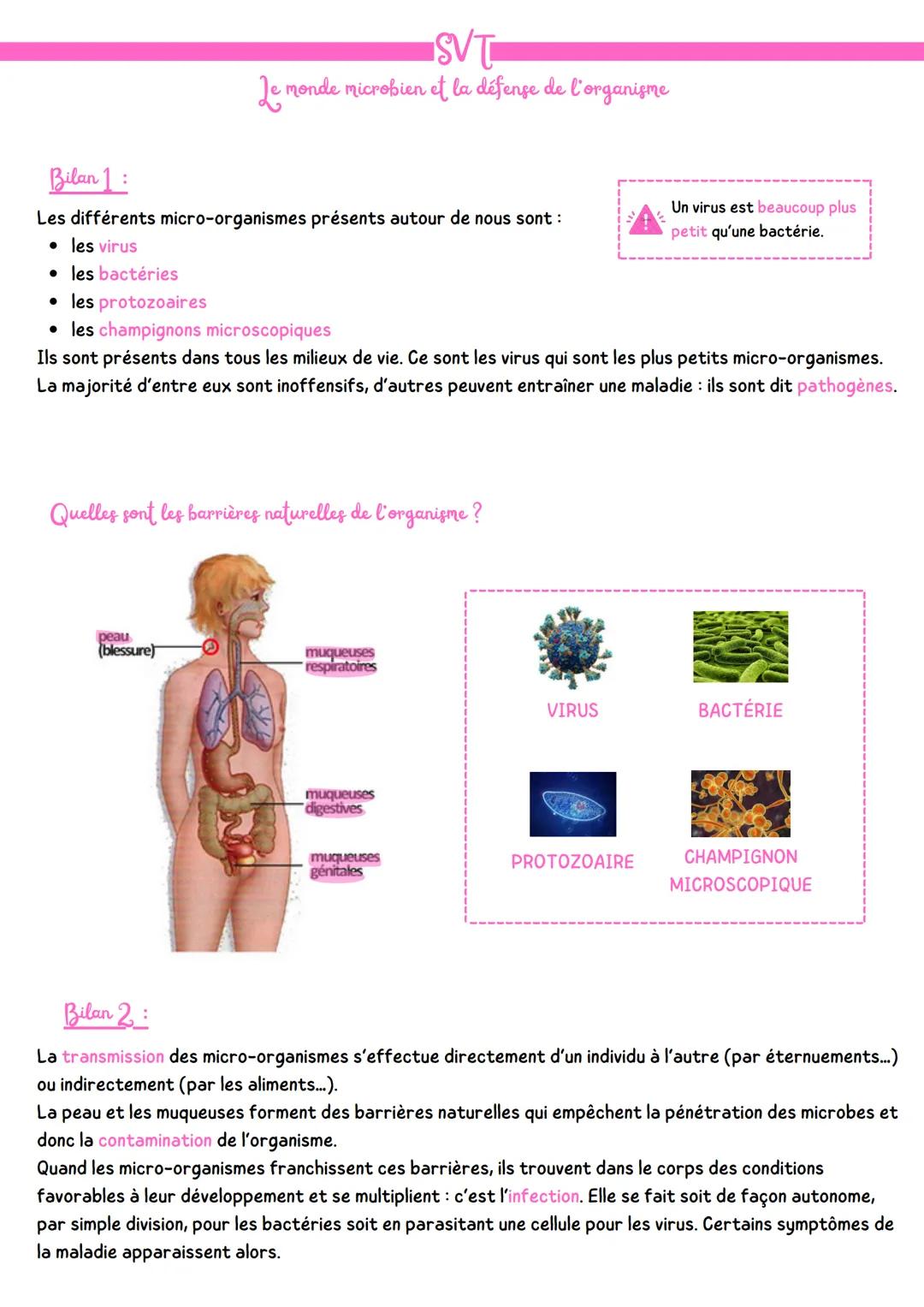 SVT - Le monde microbien et la défense de l’organisme