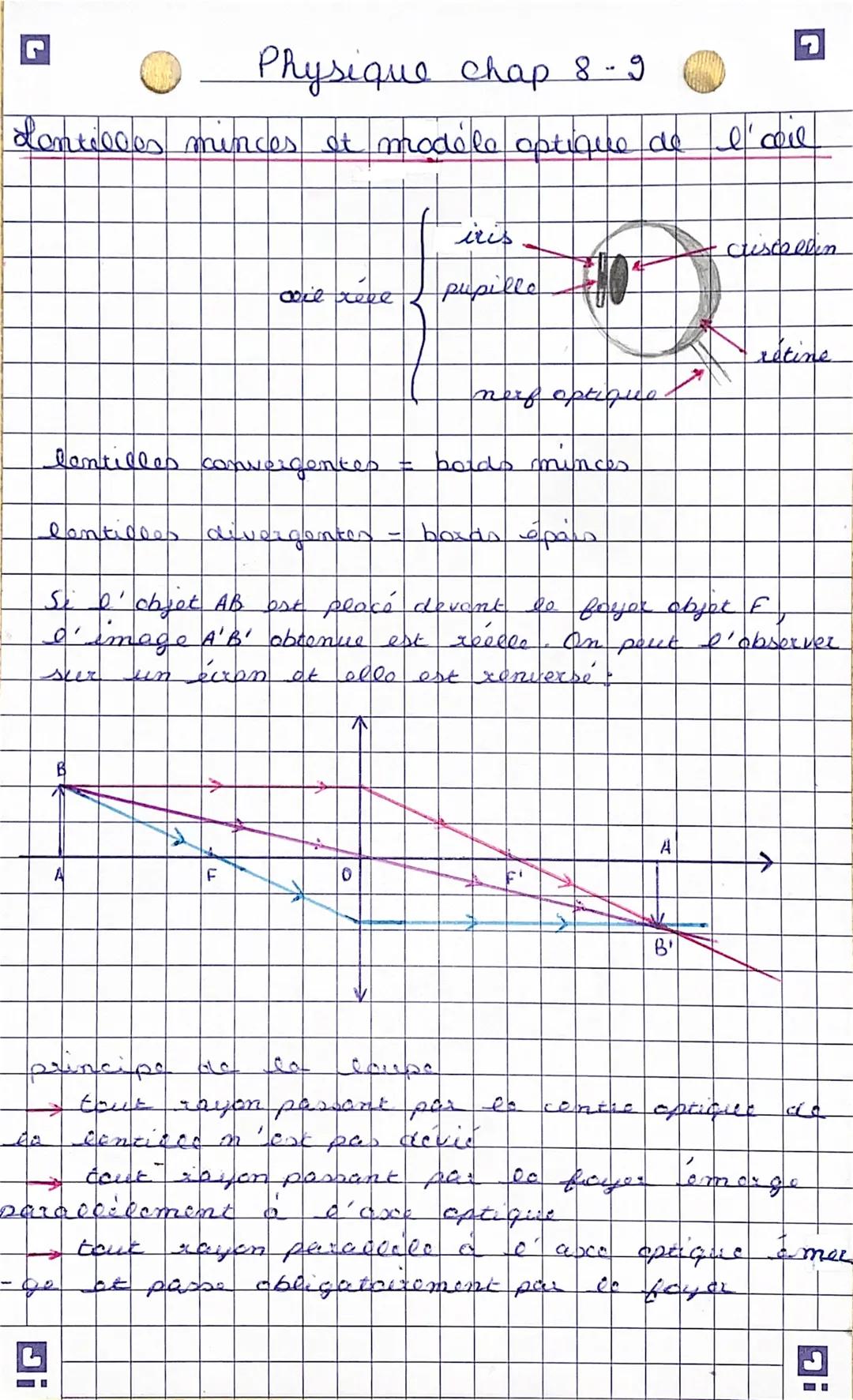 Physique chap 8-9

dontilles minces et modèle optique de l'all

iris

coil réve
pupille
ctusce eden
nerf optique
lentilles convergentes =

b