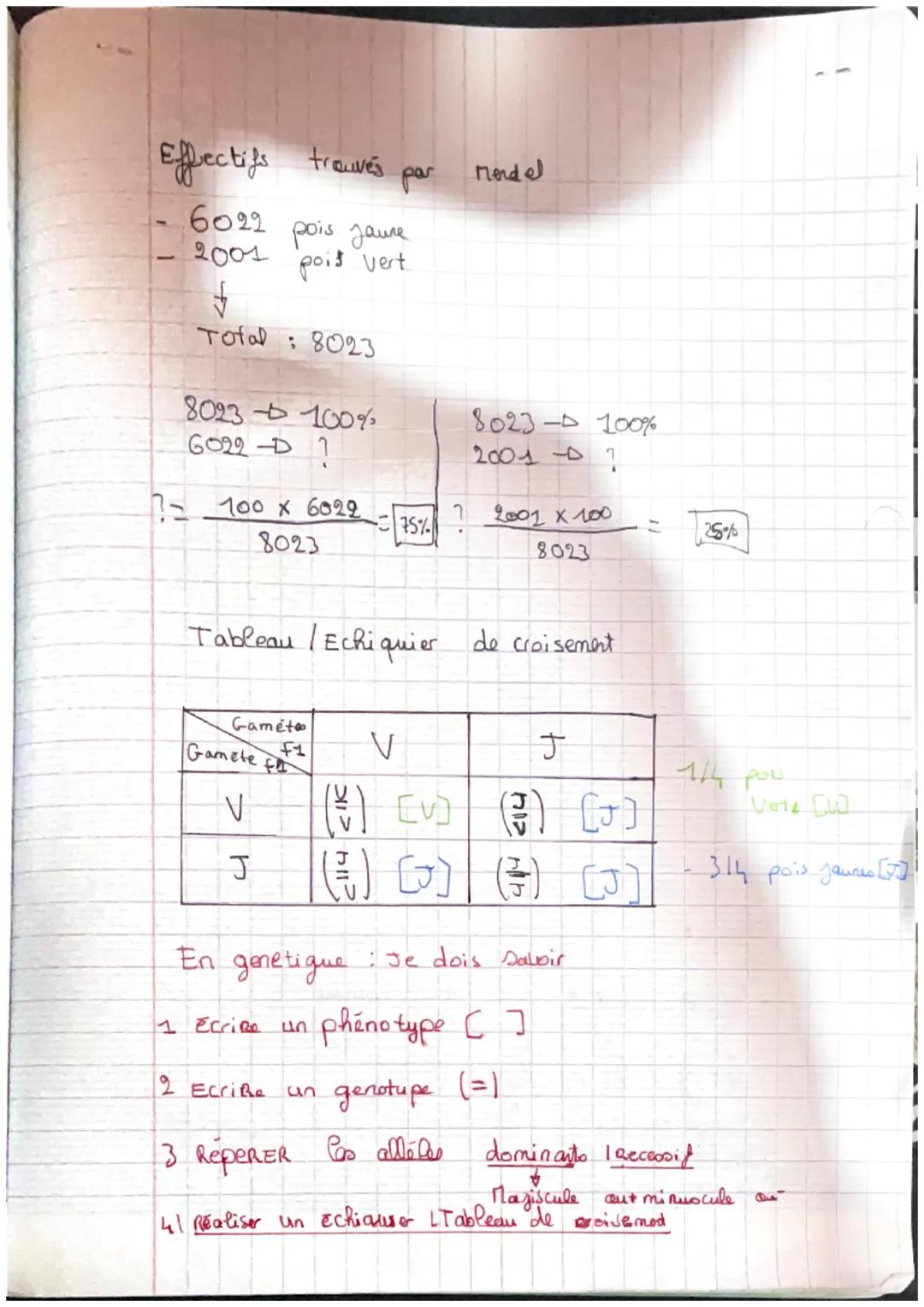 Croisement 1
P1
Cellule
parentaled th
2n
[J]
(3)
t
Shema Représentant bo
croisement
de Mendel
Generation
F1
X
X
Gametogenese (meiose)
+
Féco