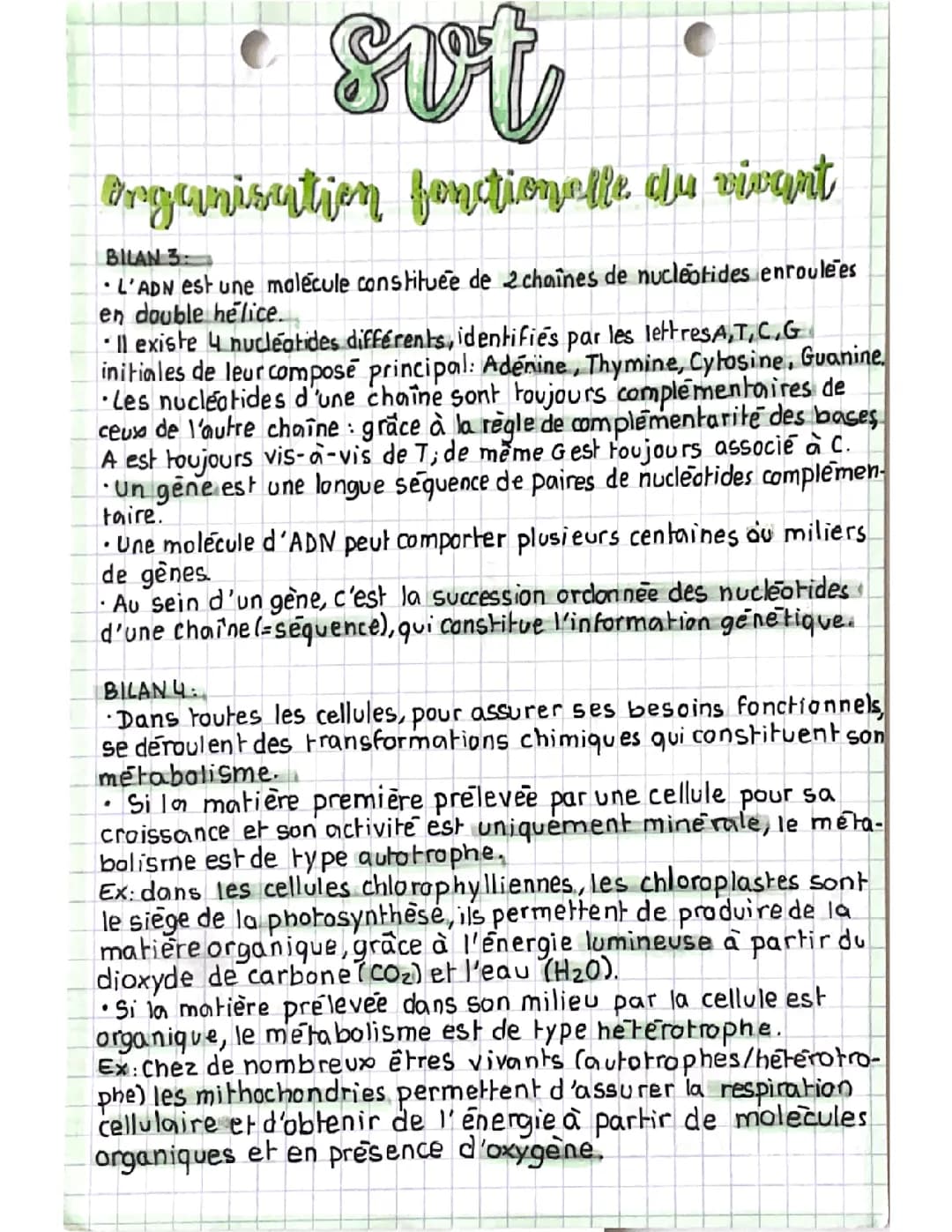 Leçon : l’organisation fonctionnelle du vivant 