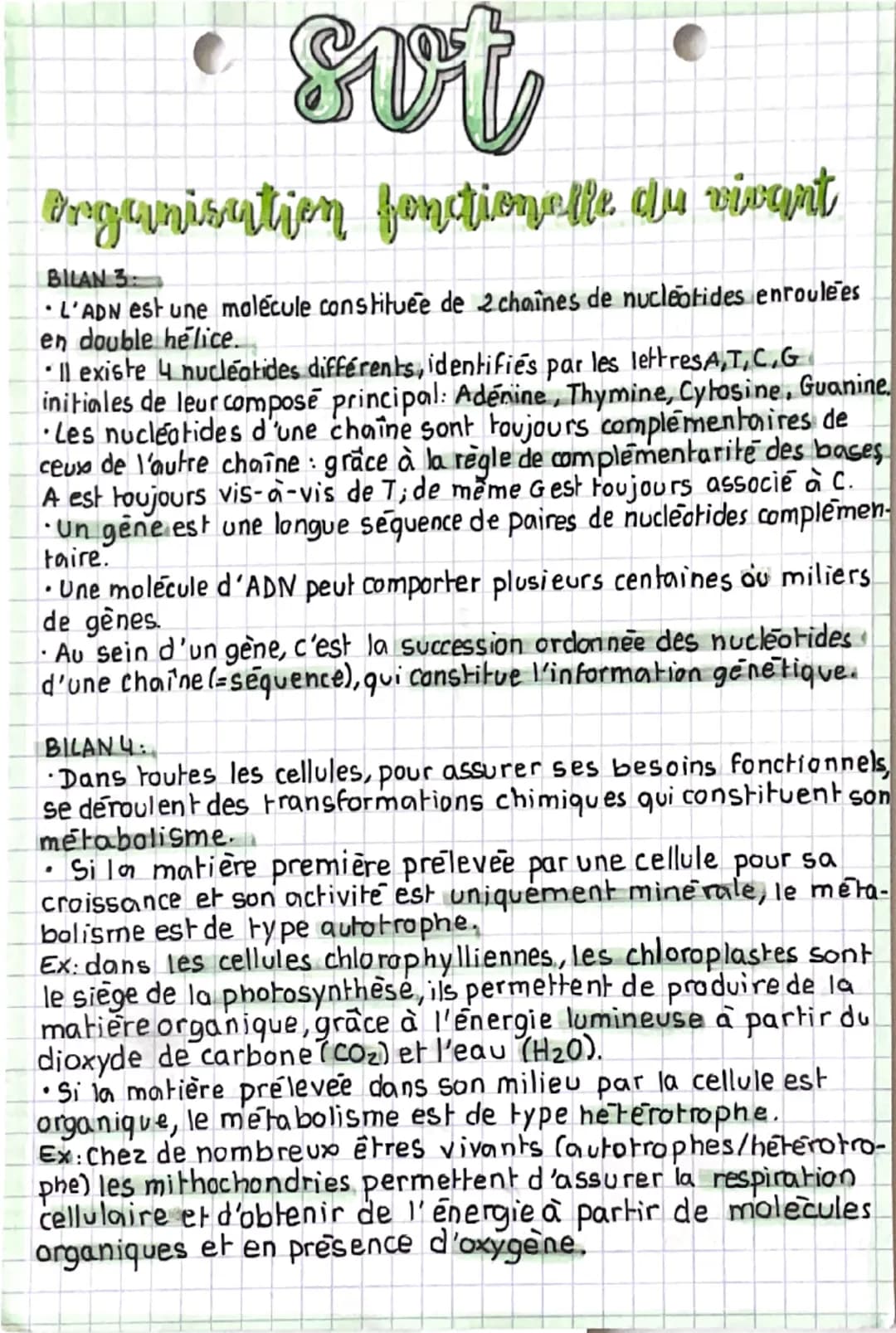sut
Organisation fonctionelle du vivant
BILAN 3
L'ADN est une molécule constituée de 2 chaînes de nucleotides enroulées
en double helice.
Il