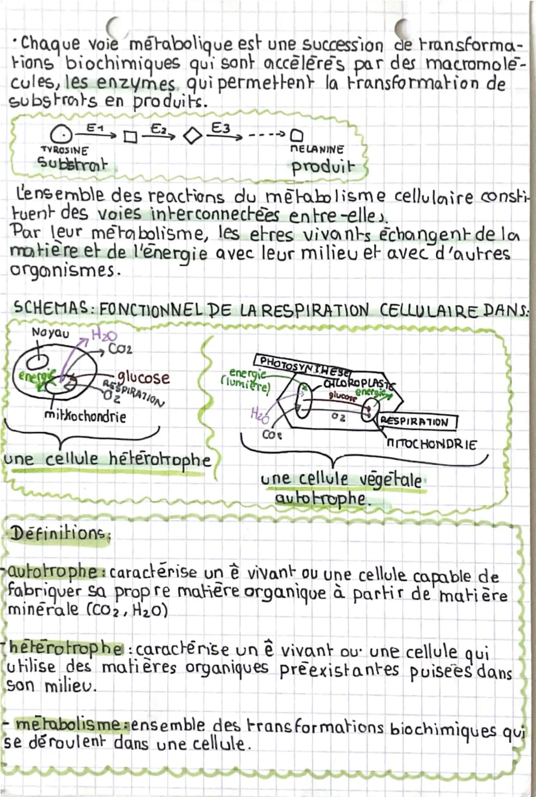 sut
Organisation fonctionelle du vivant
BILAN 3
L'ADN est une molécule constituée de 2 chaînes de nucleotides enroulées
en double helice.
Il