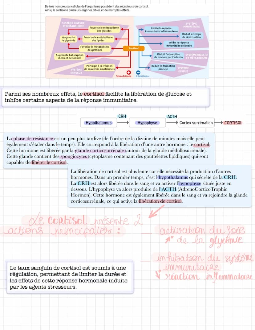 reaction
normal do
l'organisme
En biologie, << stress >> décrit une
situation contraignante pour un
individu (agissant alors comme un
stimul