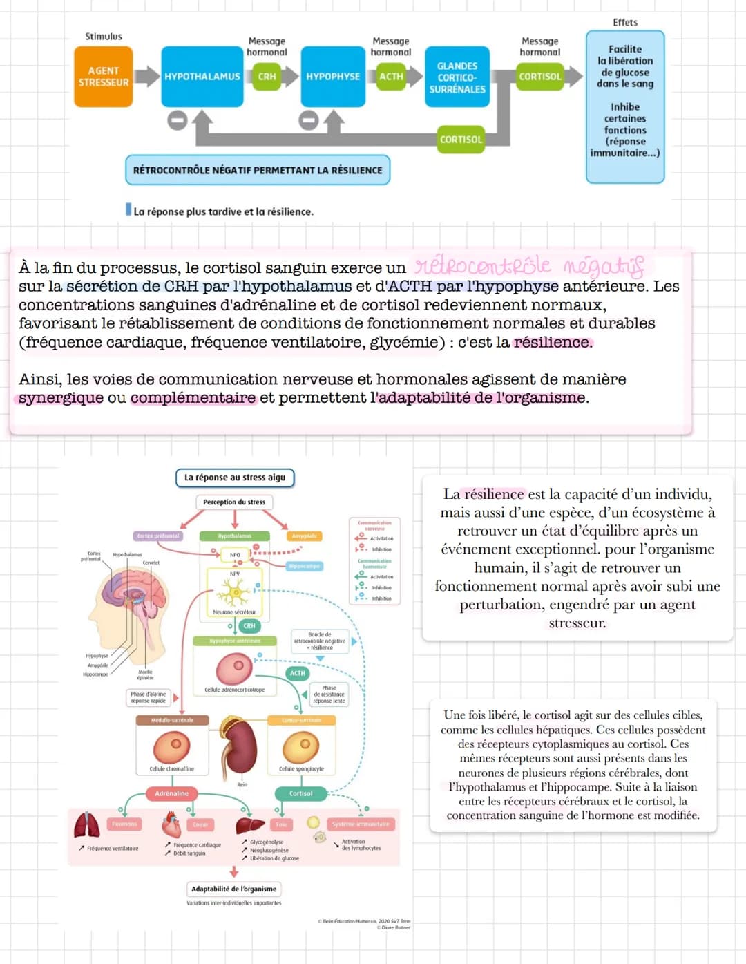 reaction
normal do
l'organisme
En biologie, << stress >> décrit une
situation contraignante pour un
individu (agissant alors comme un
stimul
