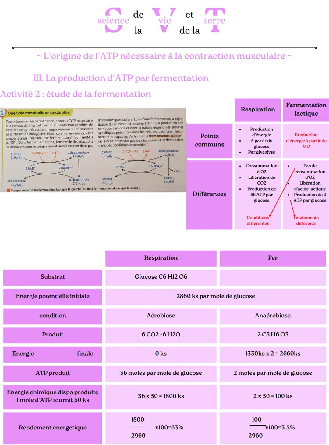 2 ADP+Pi
science
glucose
- L'origine de l'ATP nécessaire à la contraction musculaire ~
glucose
2 NAD+
glucose
de 17 et
vie
la
mitochondrie (