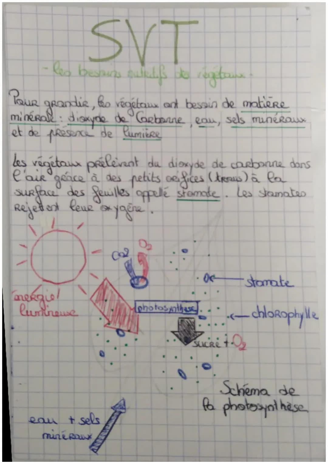 SVT
-Rea besturs outilifs de égétaux
POUR
minerale, two régétaux ant besoin de matière
minerale: dioxyde de Carbarne, eau, sels minéraux
et 