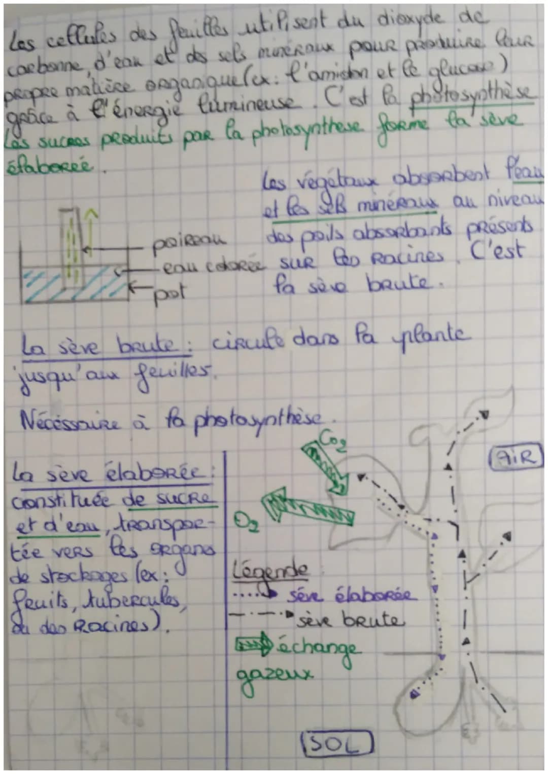 SVT
-Rea besturs outilifs de égétaux
POUR
minerale, two régétaux ant besoin de matière
minerale: dioxyde de Carbarne, eau, sels minéraux
et 