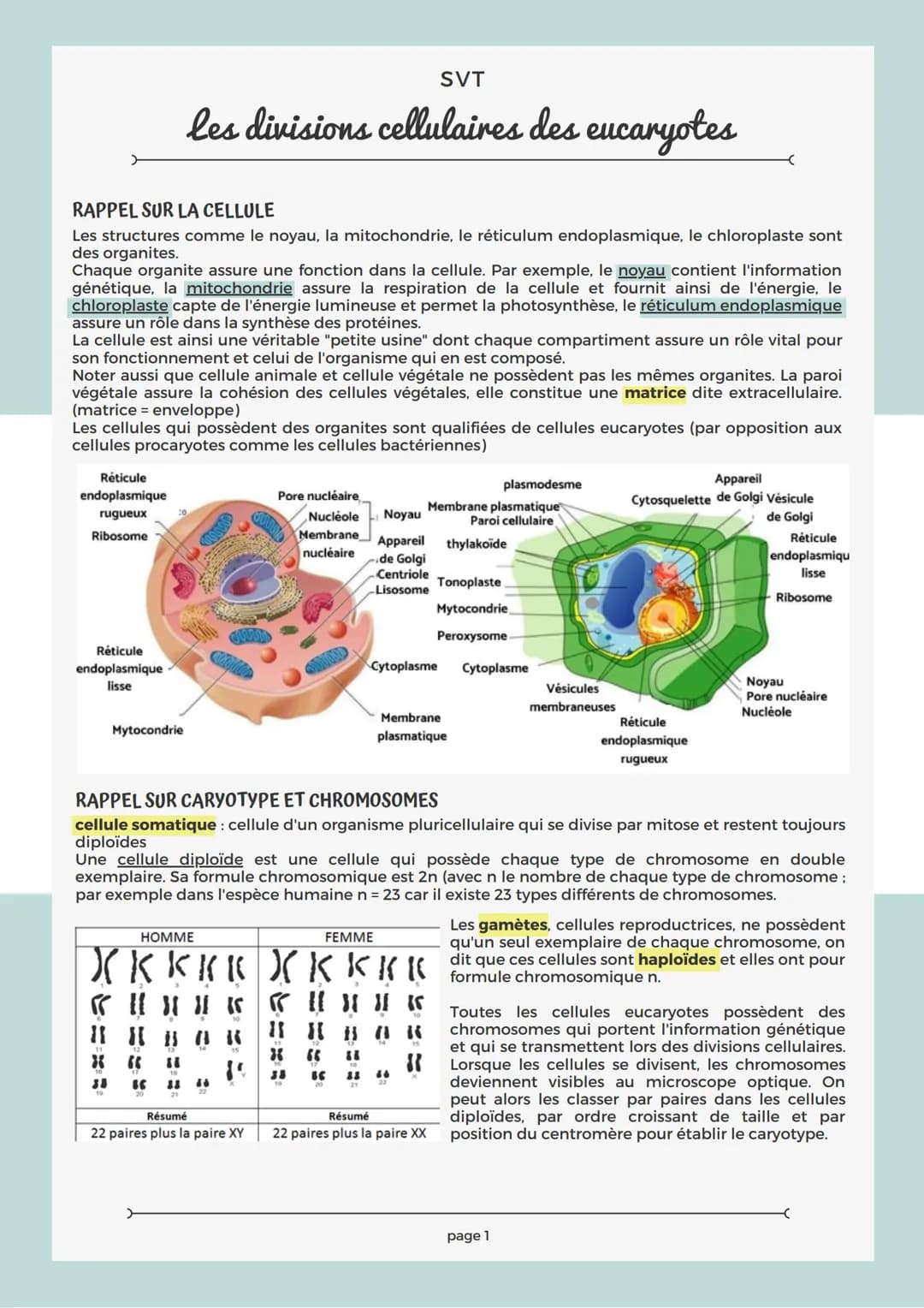 RAPPEL SUR LA CELLULE
Les structures comme le noyau, la mitochondrie, le réticulum endoplasmique, le chloroplaste sont
des organites.
Chaque