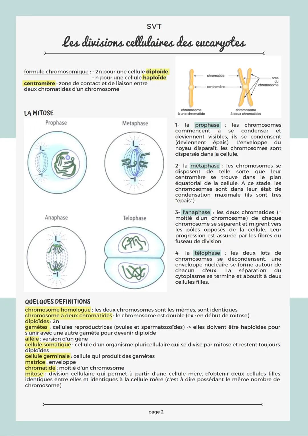 RAPPEL SUR LA CELLULE
Les structures comme le noyau, la mitochondrie, le réticulum endoplasmique, le chloroplaste sont
des organites.
Chaque