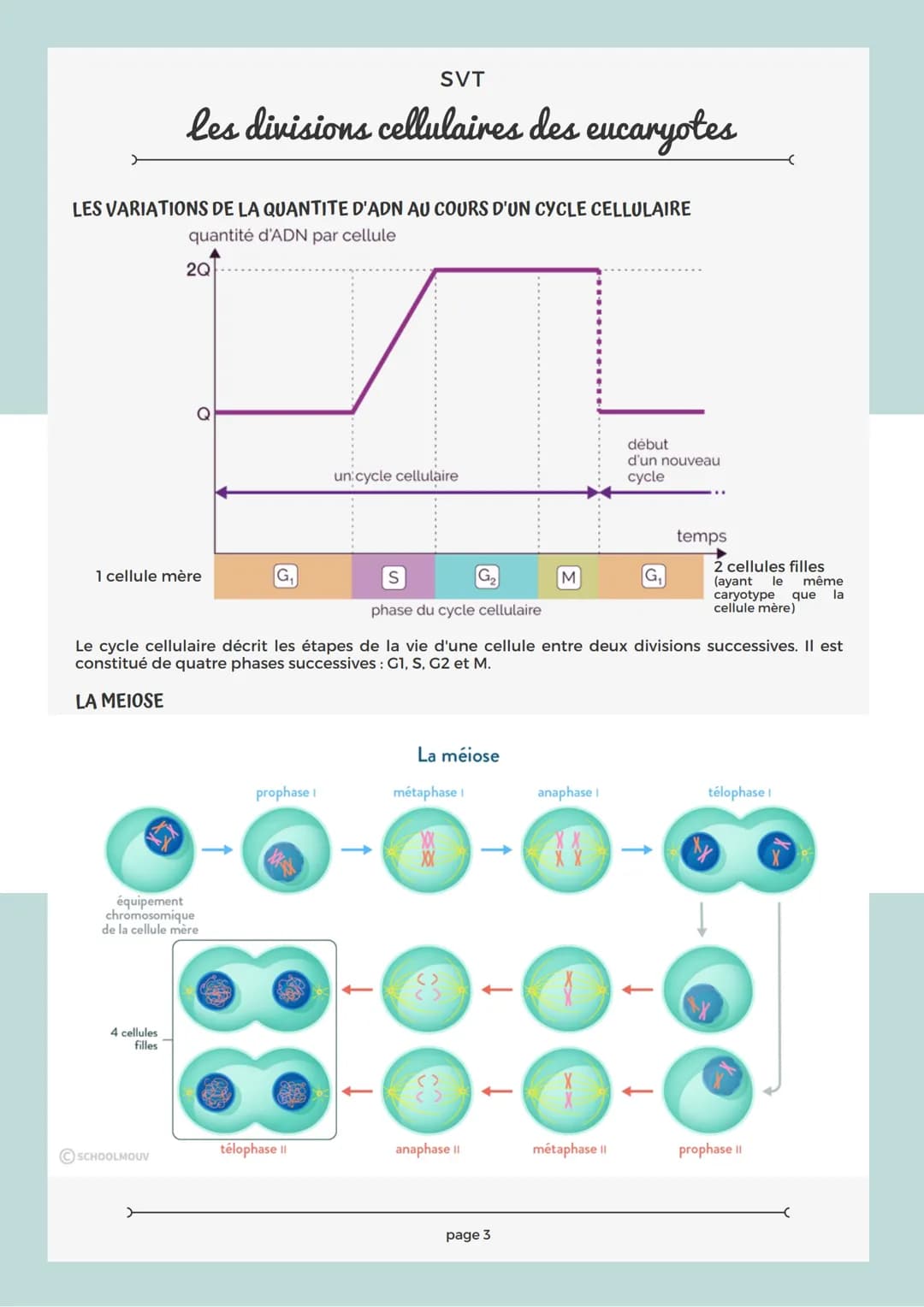 RAPPEL SUR LA CELLULE
Les structures comme le noyau, la mitochondrie, le réticulum endoplasmique, le chloroplaste sont
des organites.
Chaque