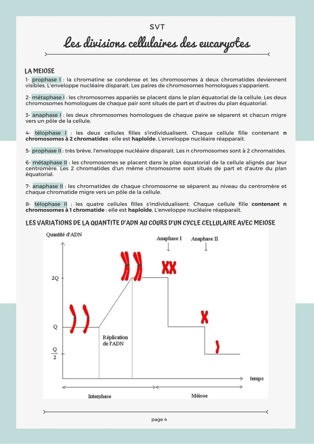 RAPPEL SUR LA CELLULE
Les structures comme le noyau, la mitochondrie, le réticulum endoplasmique, le chloroplaste sont
des organites.
Chaque