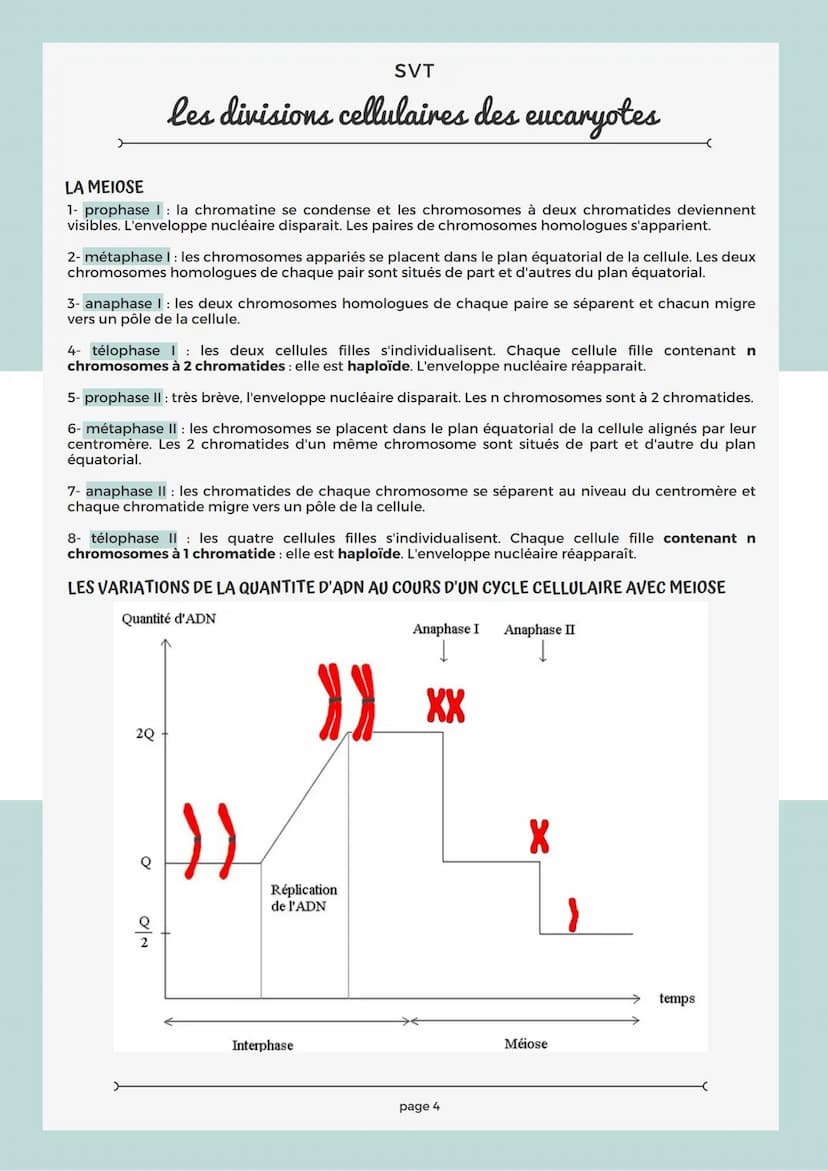 RAPPEL SUR LA CELLULE
Les structures comme le noyau, la mitochondrie, le réticulum endoplasmique, le chloroplaste sont
des organites.
Chaque