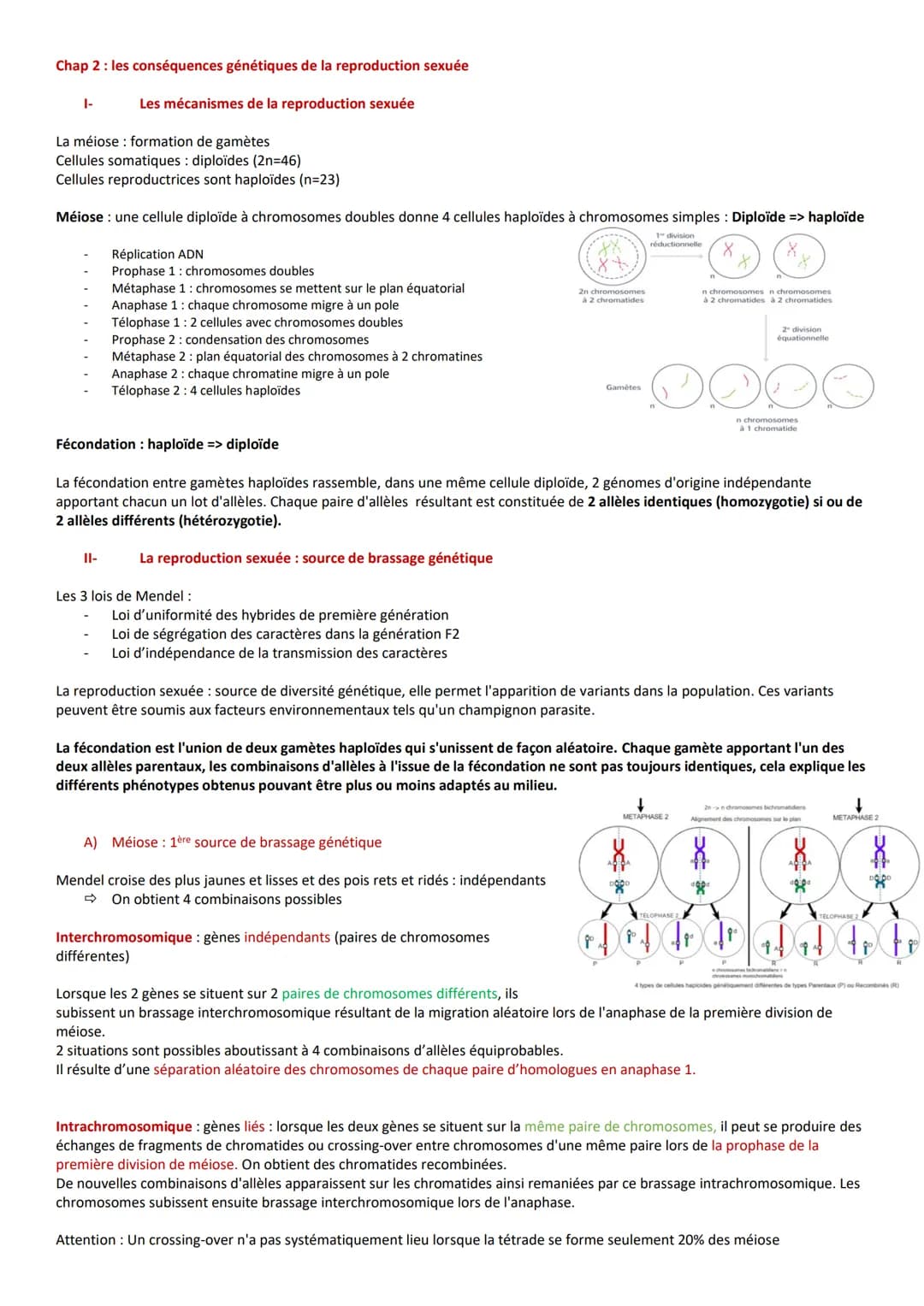 Chap 1: stabilité génétique et évolution clonage
Les caractéristiques des clones
Clone : ensemble de cellules issues de mitoses d'une cellul