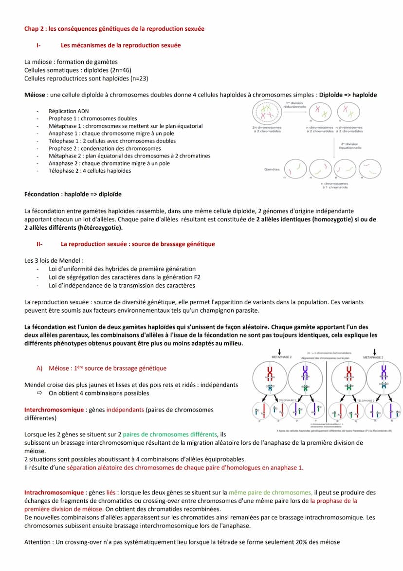 Chap 1: stabilité génétique et évolution clonage
Les caractéristiques des clones
Clone : ensemble de cellules issues de mitoses d'une cellul