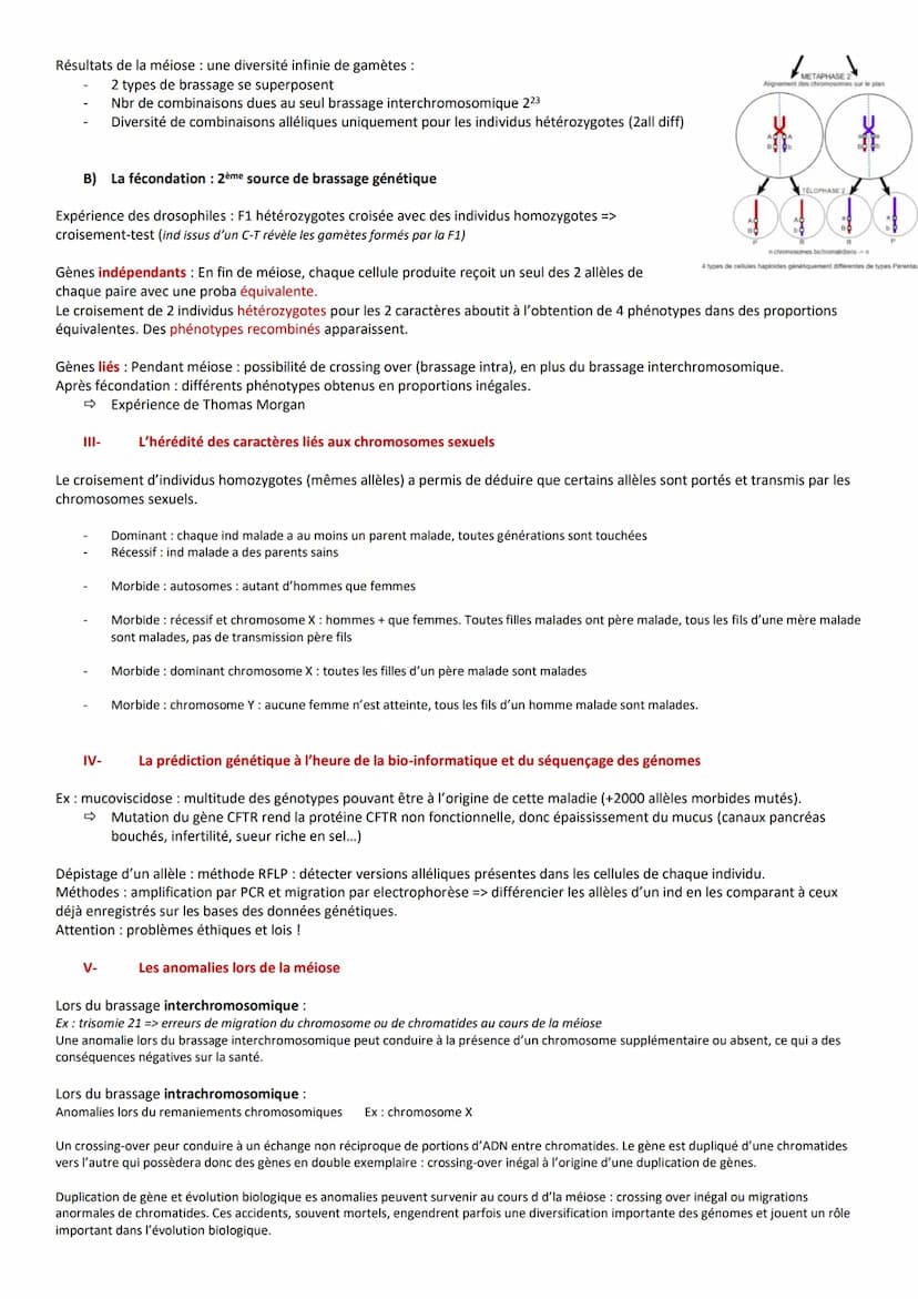 Chap 1: stabilité génétique et évolution clonage
Les caractéristiques des clones
Clone : ensemble de cellules issues de mitoses d'une cellul