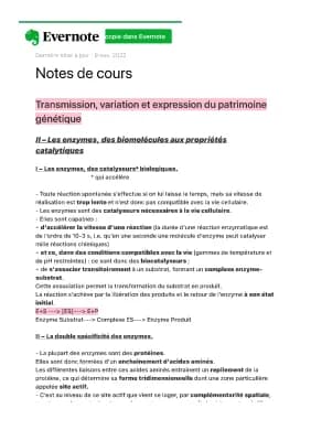 Know Les enzymes, des biomolécules aux propriétés catalytiques  thumbnail