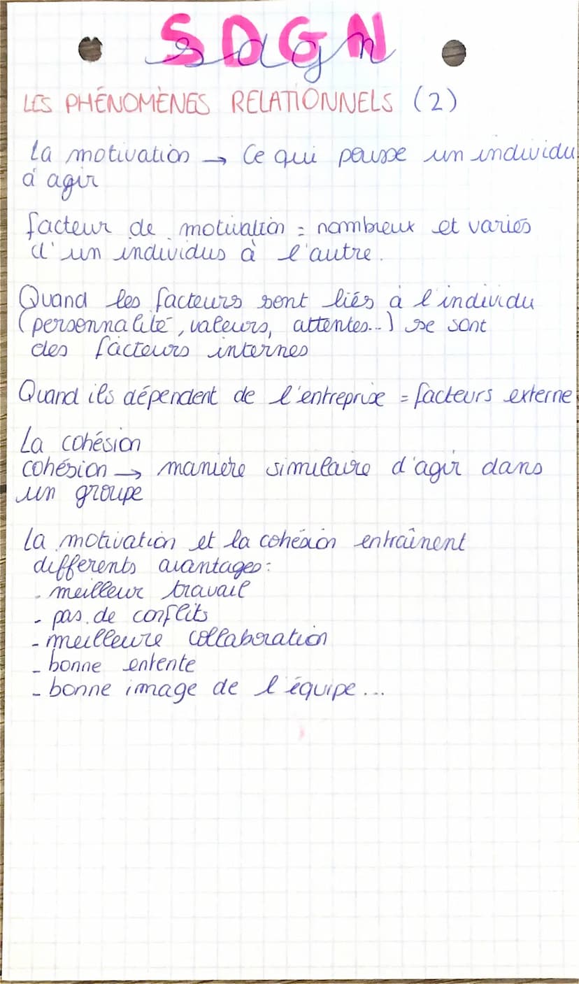 Choly SAGN
Chp4
LES PHÉNOMÈNES
RELATIONNELS (1)
→
Relations formelles se déroulent dans un
contexte professionnel, elles sont organisées
et 