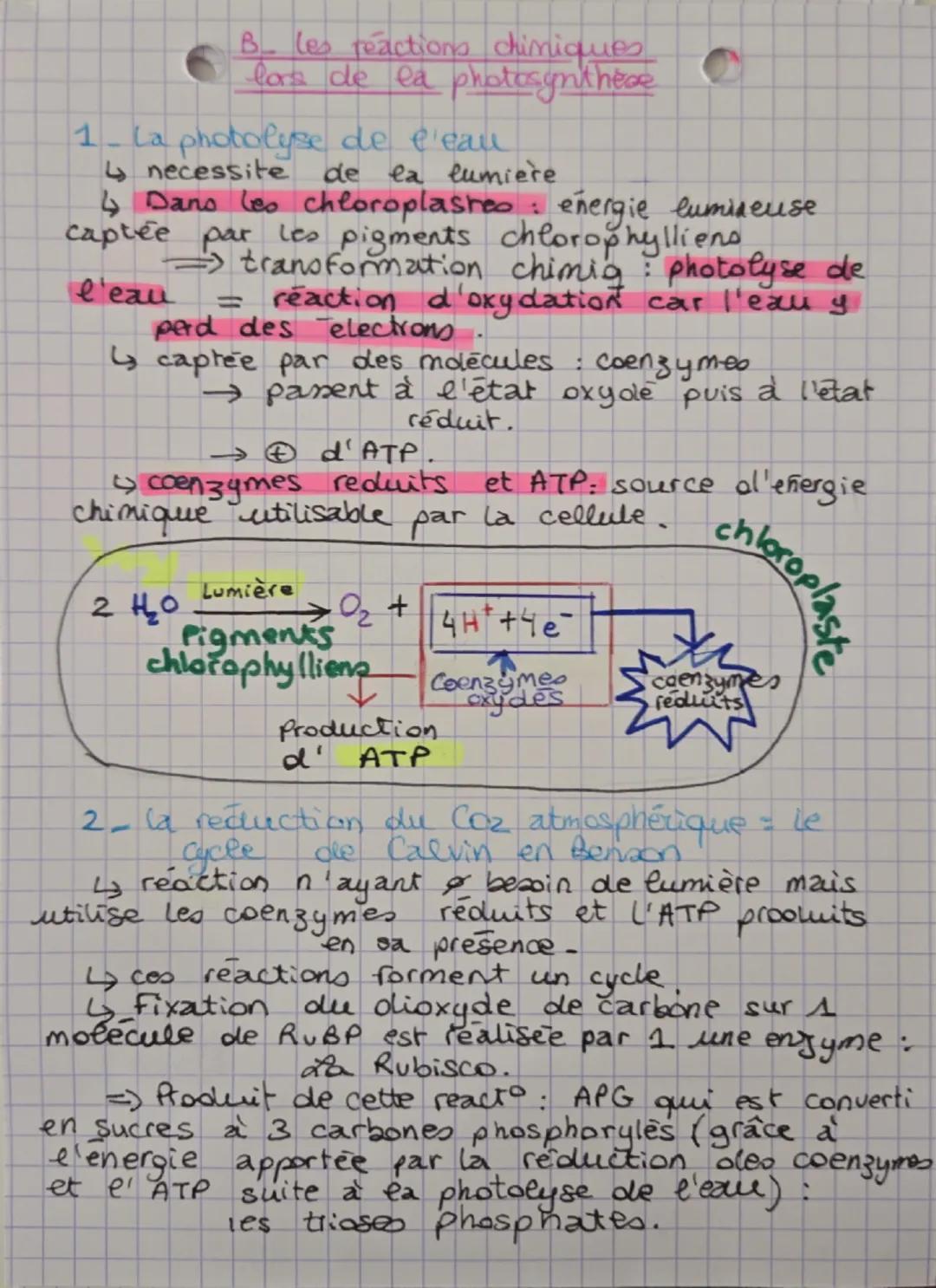 SVT thème 4
Chapitre 2 La plante, la production de matière
organique.
1- la production de matière organiq par
photosynthèse
↳ les parties aé