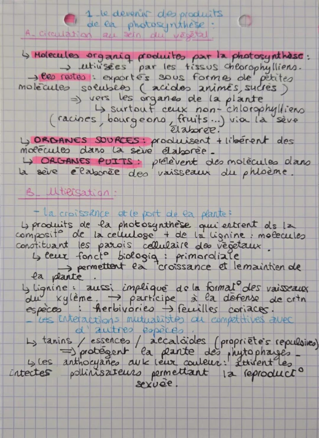 SVT thème 4
Chapitre 2 La plante, la production de matière
organique.
1- la production de matière organiq par
photosynthèse
↳ les parties aé