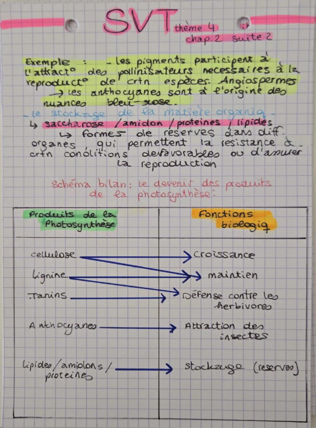 SVT thème 4
Chapitre 2 La plante, la production de matière
organique.
1- la production de matière organiq par
photosynthèse
↳ les parties aé